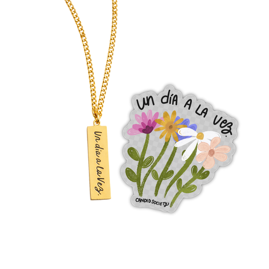 🌼 Bundle Recordatorio Diario