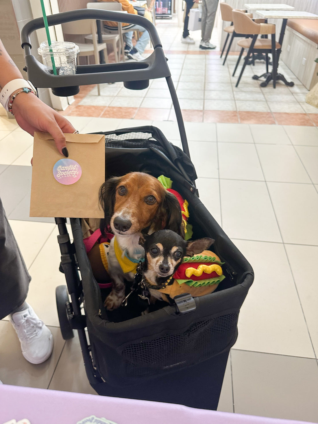 Nuestra experiencia en Montehiedra ✨