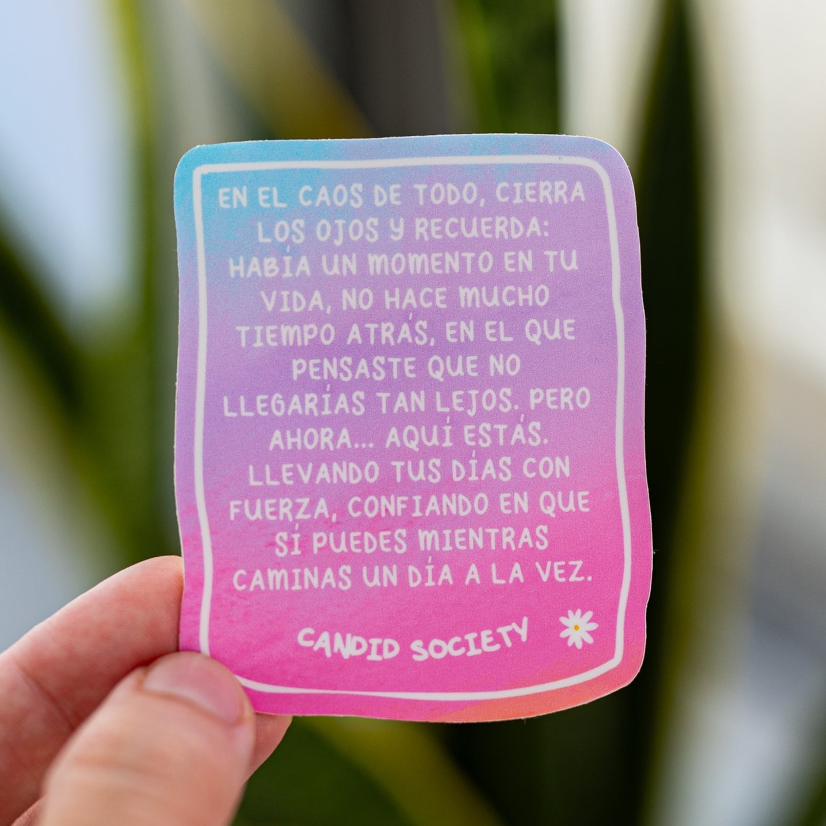 26 - Cierra los Ojos y Recuerda - Premium Sticker – Candid Society