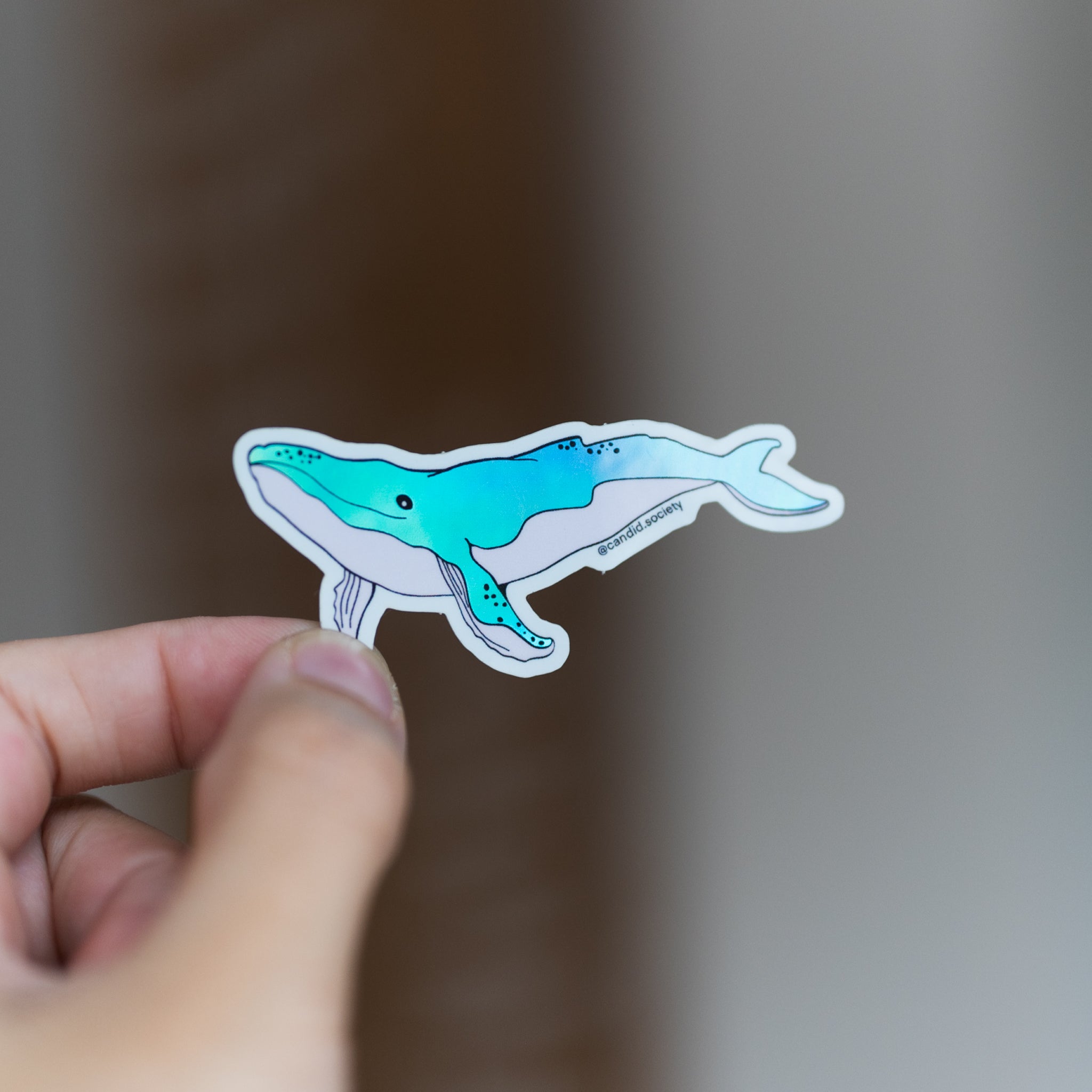 35 - Ballena (whale 🐋) - Premium Sticker