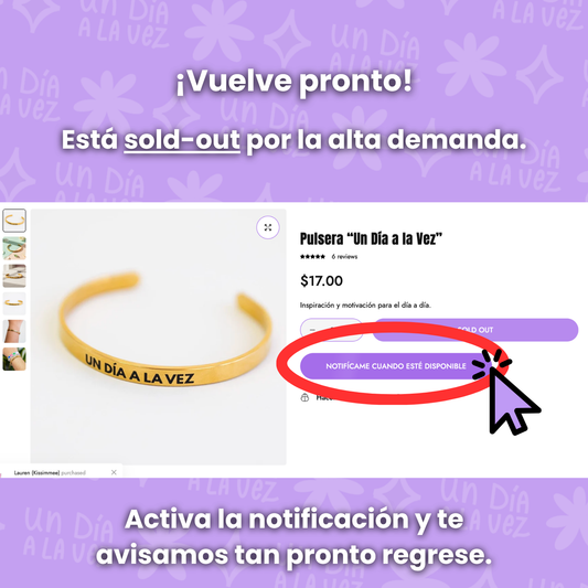 Pulsera “Un Día a la Vez”